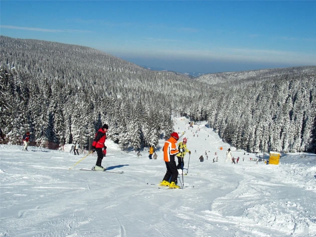 slovenië, ski